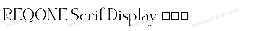 REQONE Serif Display字体转换